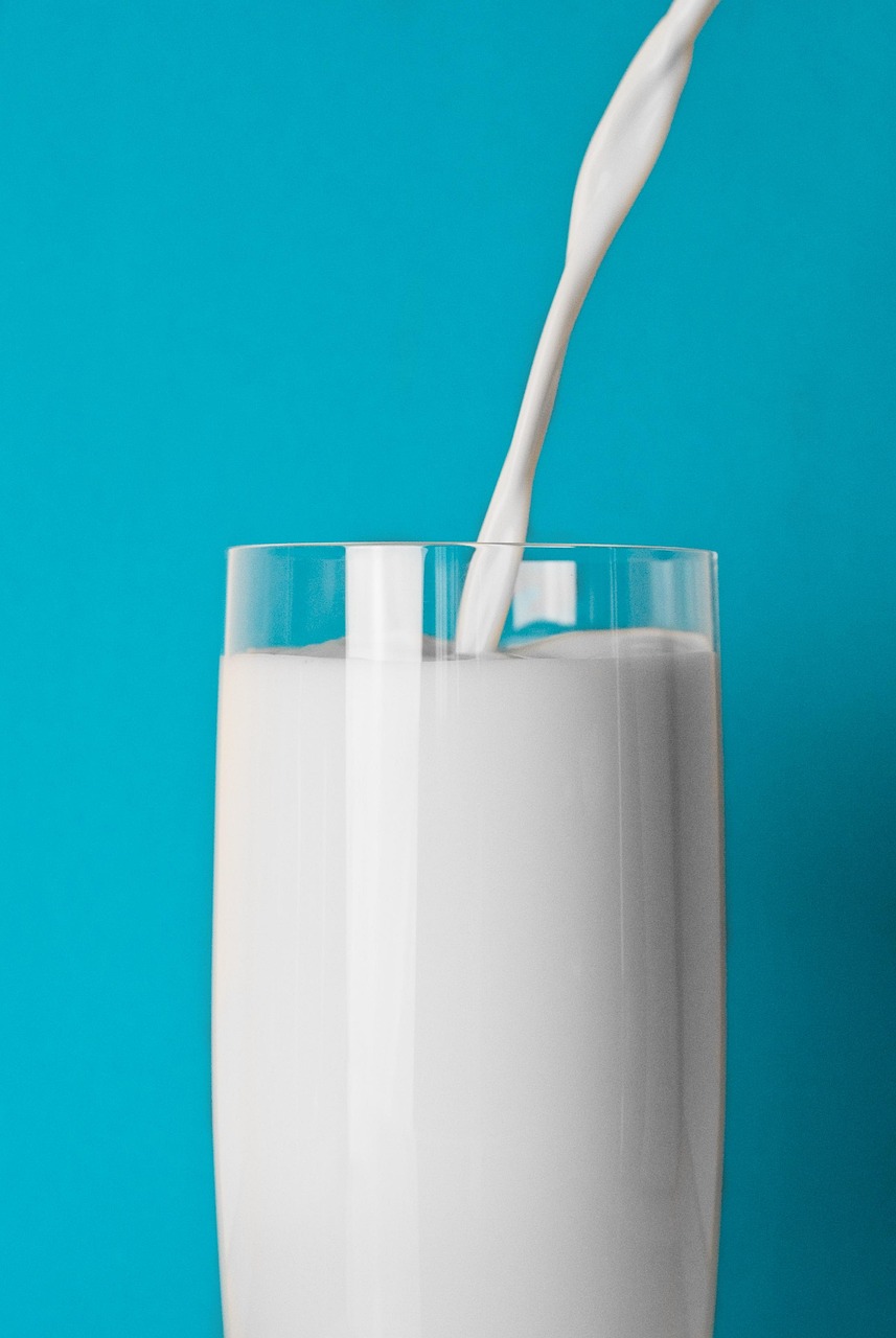 蒙牛乳业最新招聘资讯及新闻发布