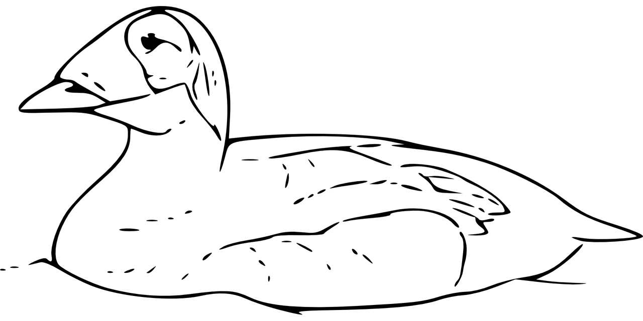 四月份白鸭价格行情分析与预测