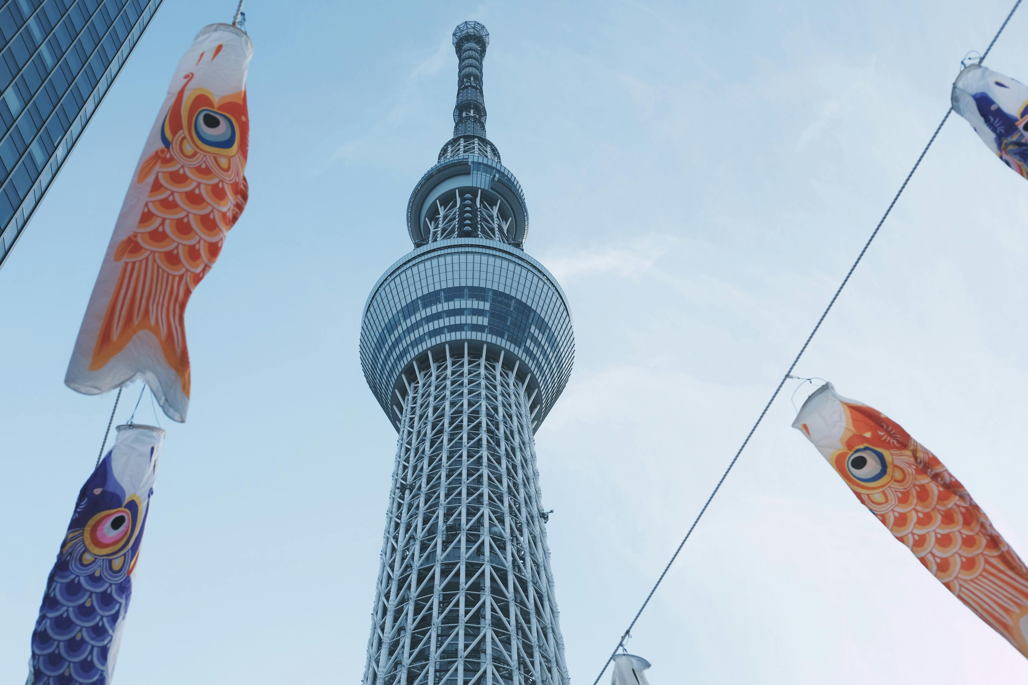 济南电视台四月风采，城市之声的脉动与文化的绽放