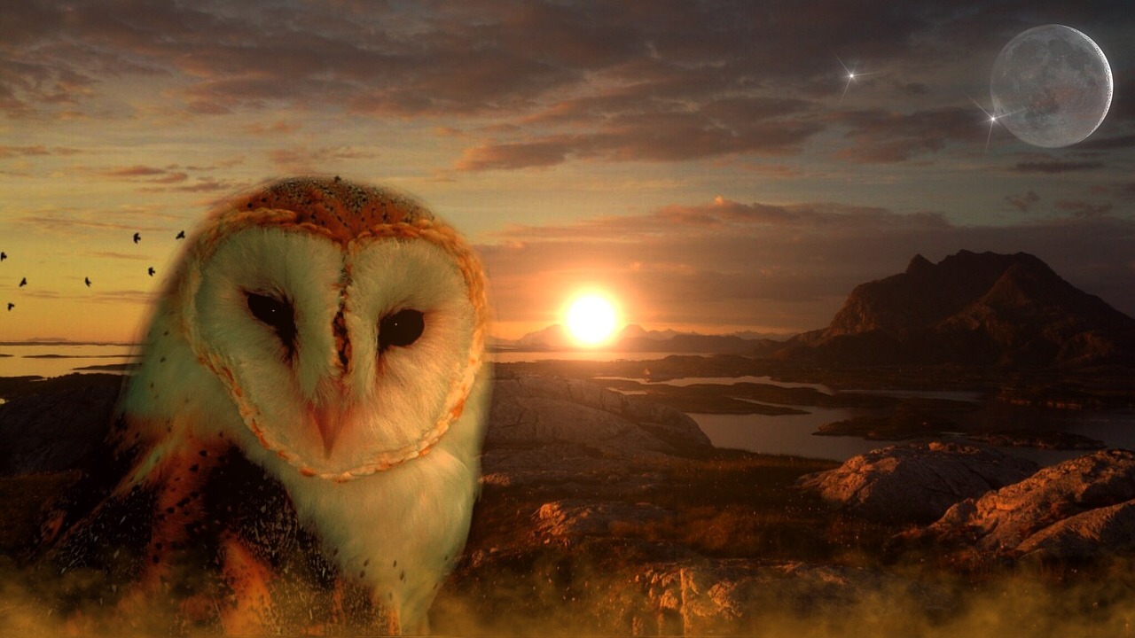 四月奇幻电视剧探索，最新玄幻剧带你进入奇幻世界