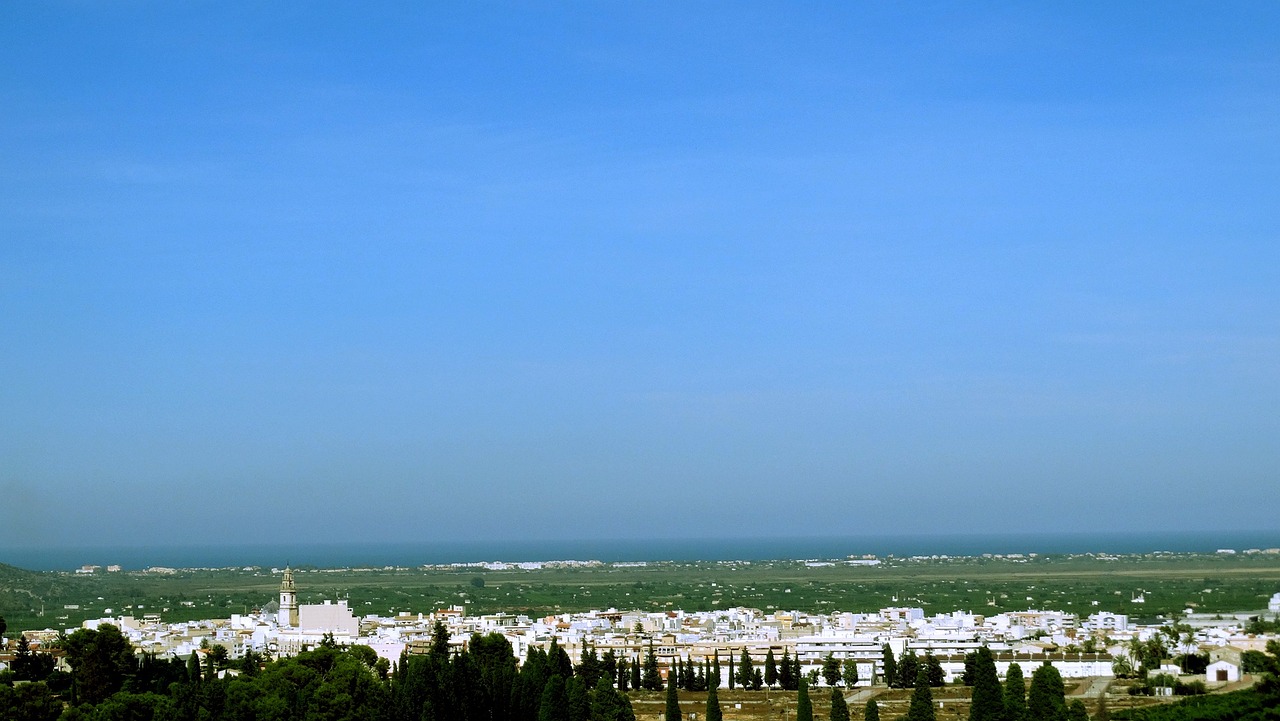 五月全球镍市场最新动态聚焦分析