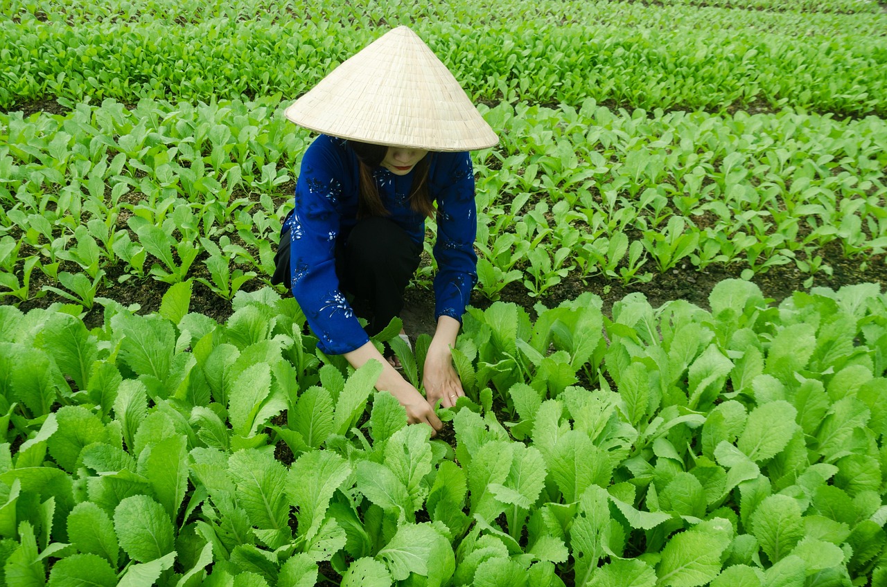 海门五月动态，繁荣与发展交相辉映的新篇章
