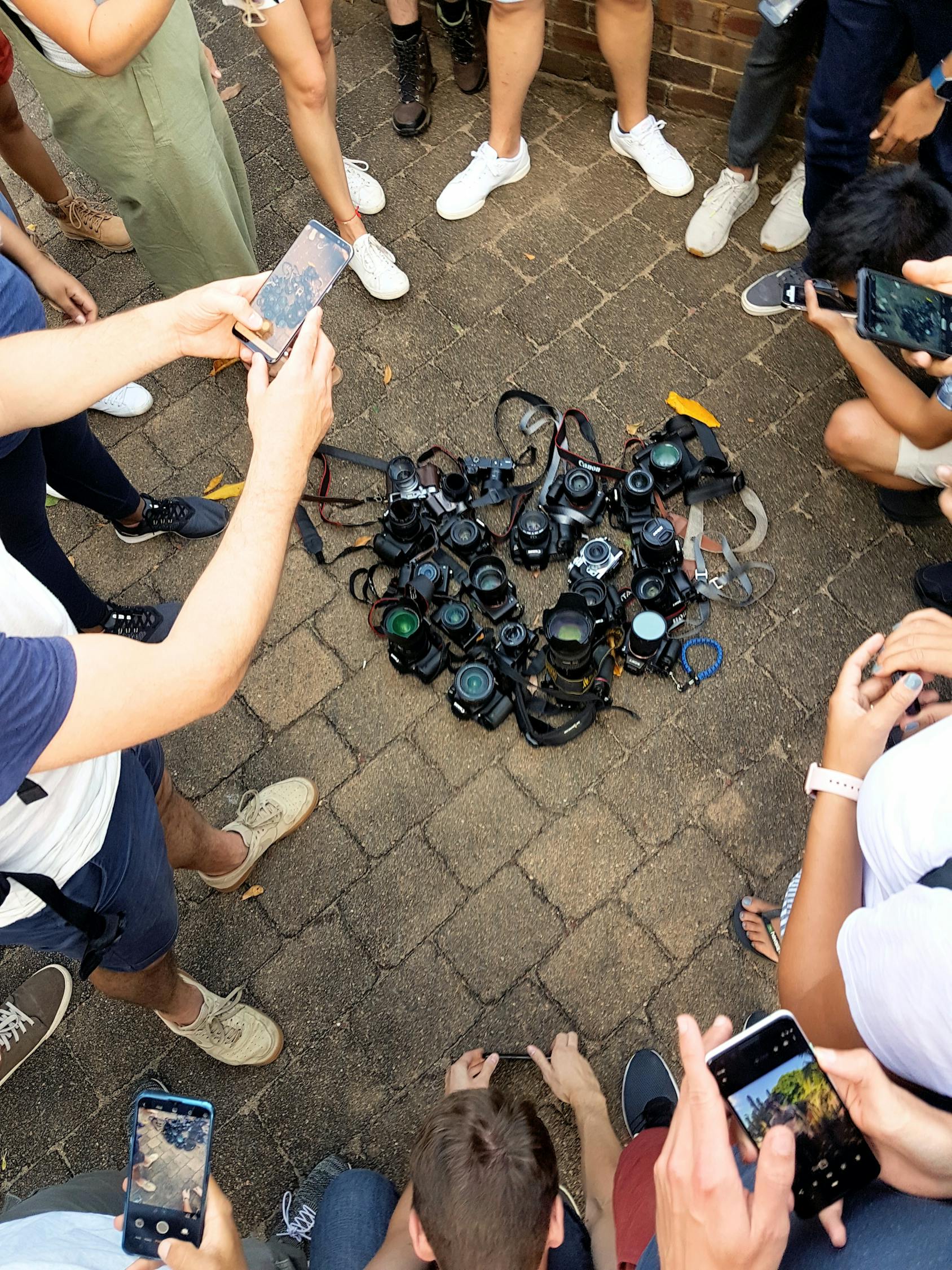 五月大嫂电影的魅力与在线观看体验
